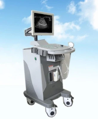 Ce/ISO-zugelassener 15-Zoll-Diagnose-Ultraschall mit 96-Elemente-Sonde und Trolley (YJ